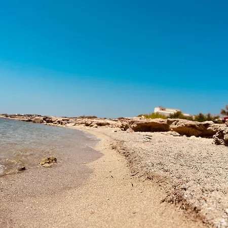 Bed & Breakfast Dream 3*