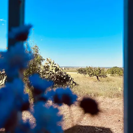 Bed & Breakfast Dream 3*