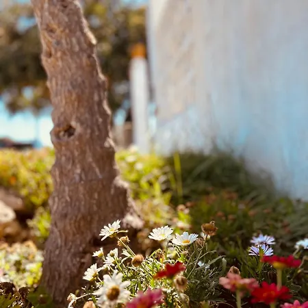 Bed & Breakfast Dream Marina di Lizzano