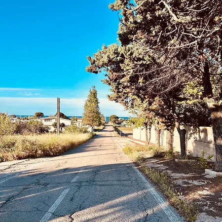 Dream Bed & Breakfast