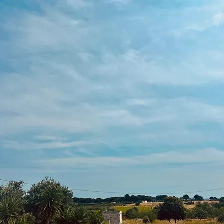 Dream Marina di Lizzano