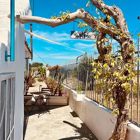 Bed & Breakfast Dream