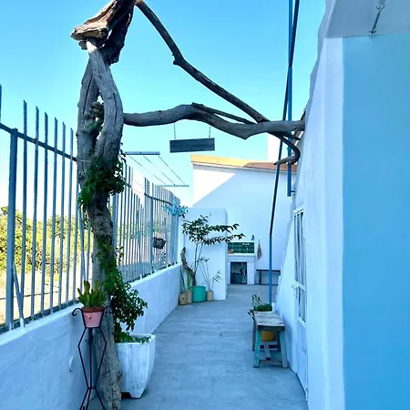 Dream Bed & Breakfast