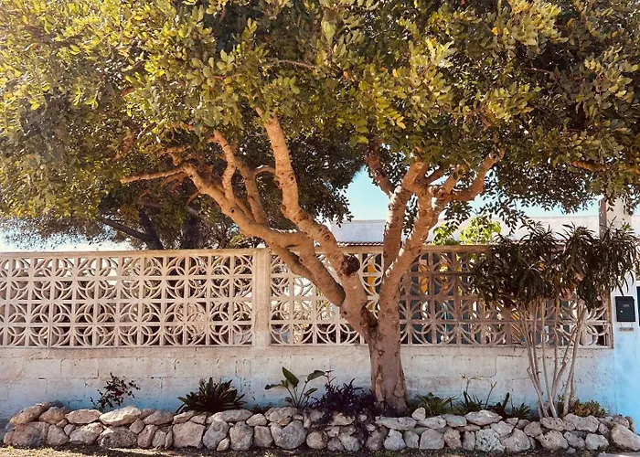 Dream Bed & Breakfast Marina di Lizzano