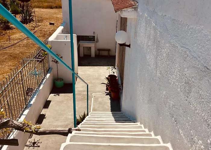 Dream
